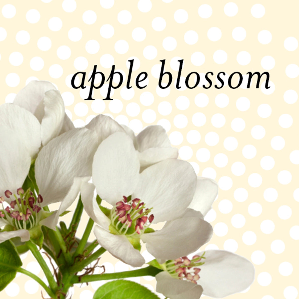 Spice, Eucalyptus, Pine, Apple Blossom