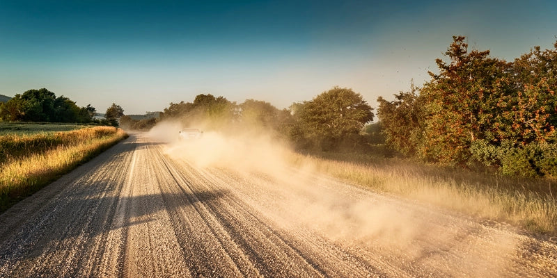 Dusty rural road with trees on either side under a clear blue sky.