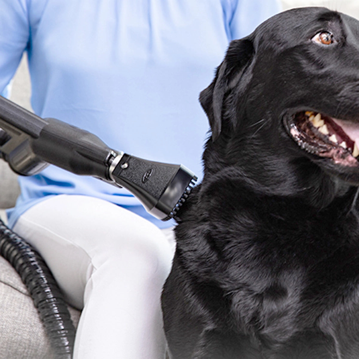 Pet Grooming Tool being used on black lab