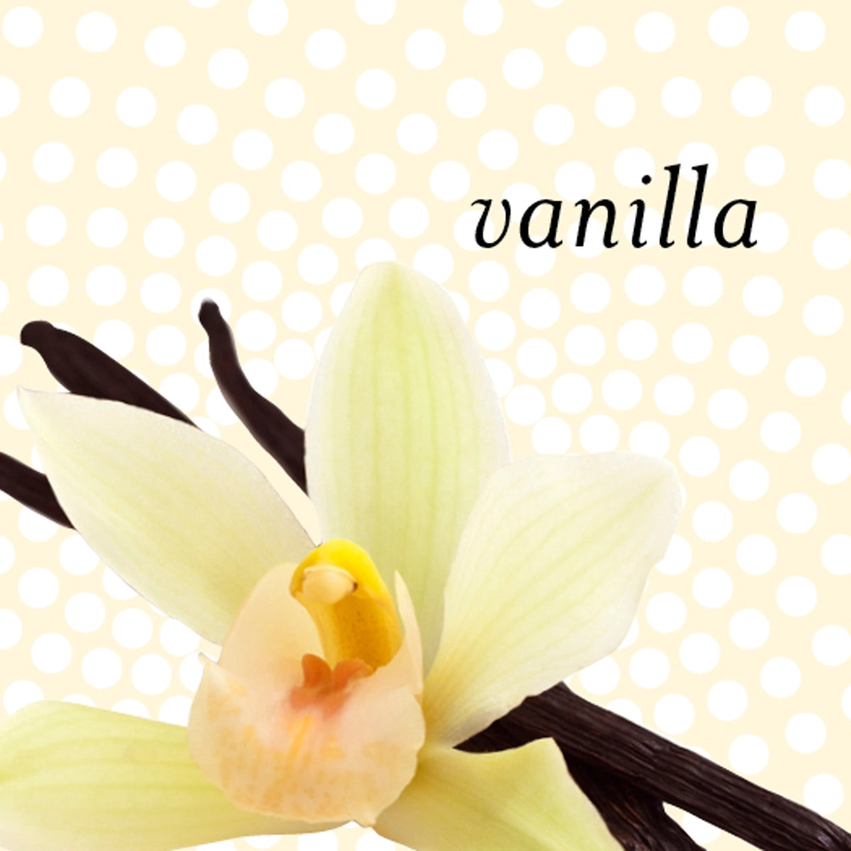 Vanilla