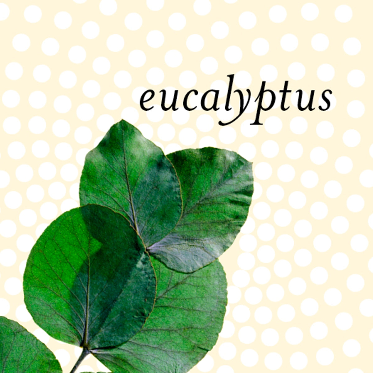 Spice, Eucalyptus, Pine, Apple Blossom