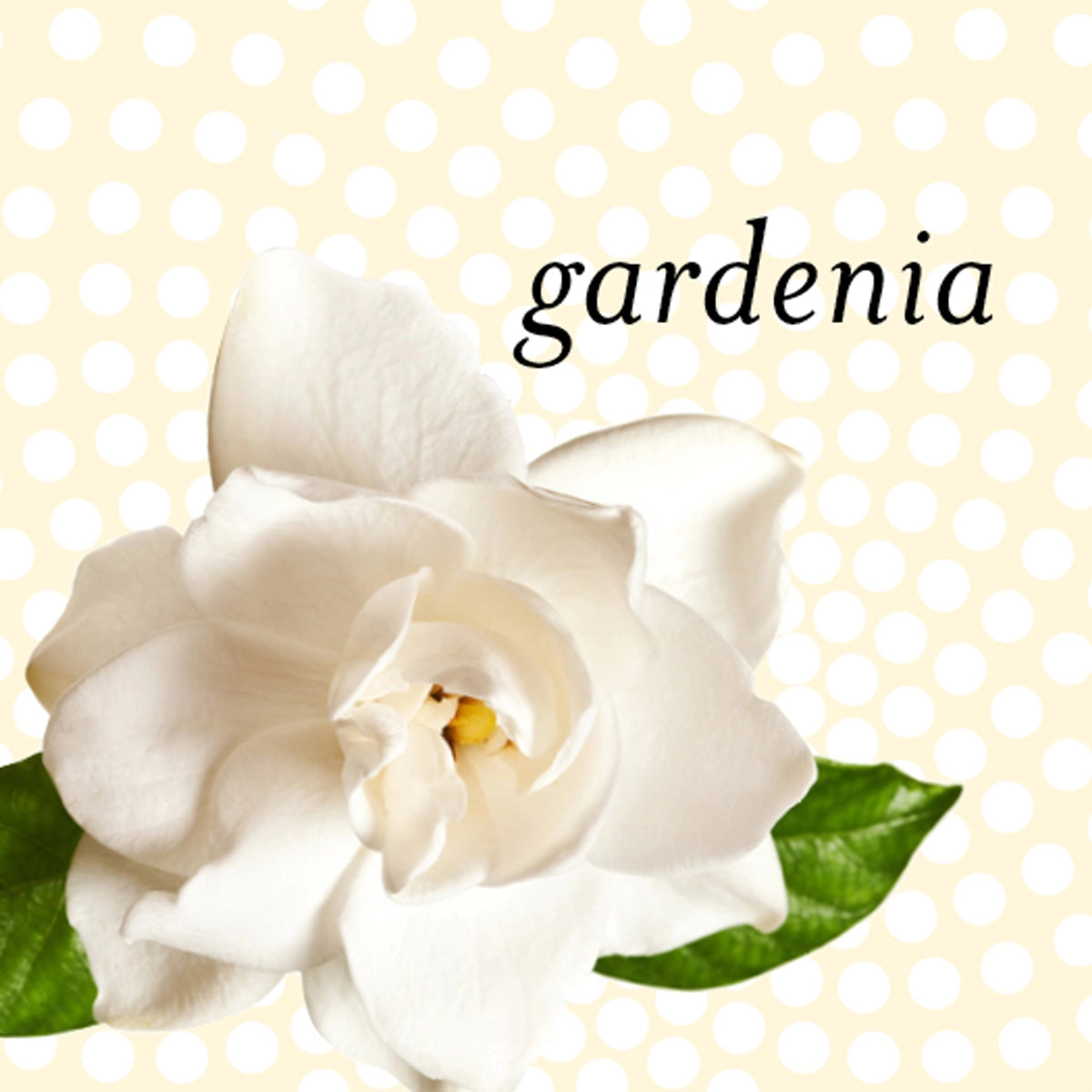 Apple Blossom, Pine, Violet, Gardenia